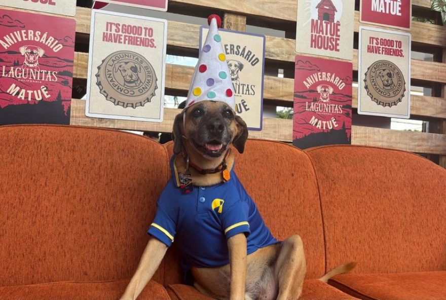 cachorro-frentista-matue-completa-11-anos-com-festa-em-campinas cachorro-frentista-matue-completa-11-anos-com-festa-em-campinas