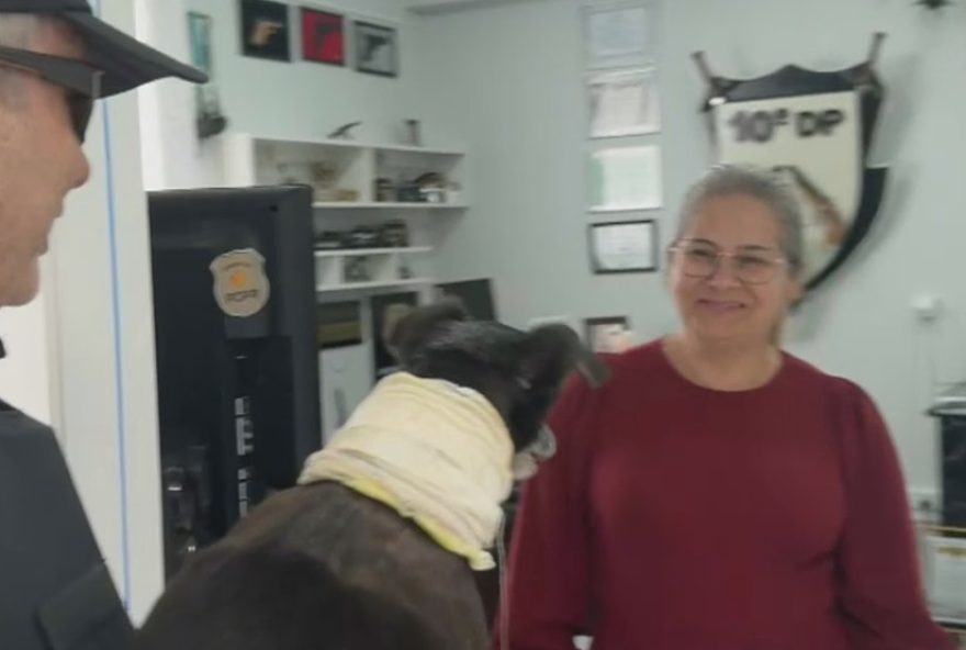 cachorro-idoso-ferido-resgatado-por-policiais-no-parana3A-emocionante-reencontro-com-a-familia cachorro-idoso-ferido-resgatado-por-policiais-no-parana3A-emocionante-reencontro-com-a-familia