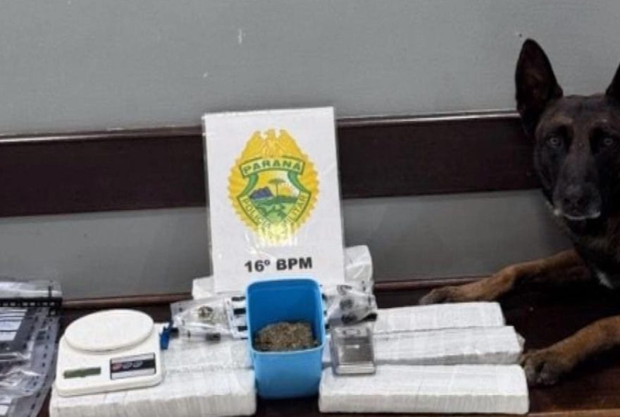 cachorro-policial-encontra-drogas-em-lanchonete-enquanto-pm-lanchava-parana