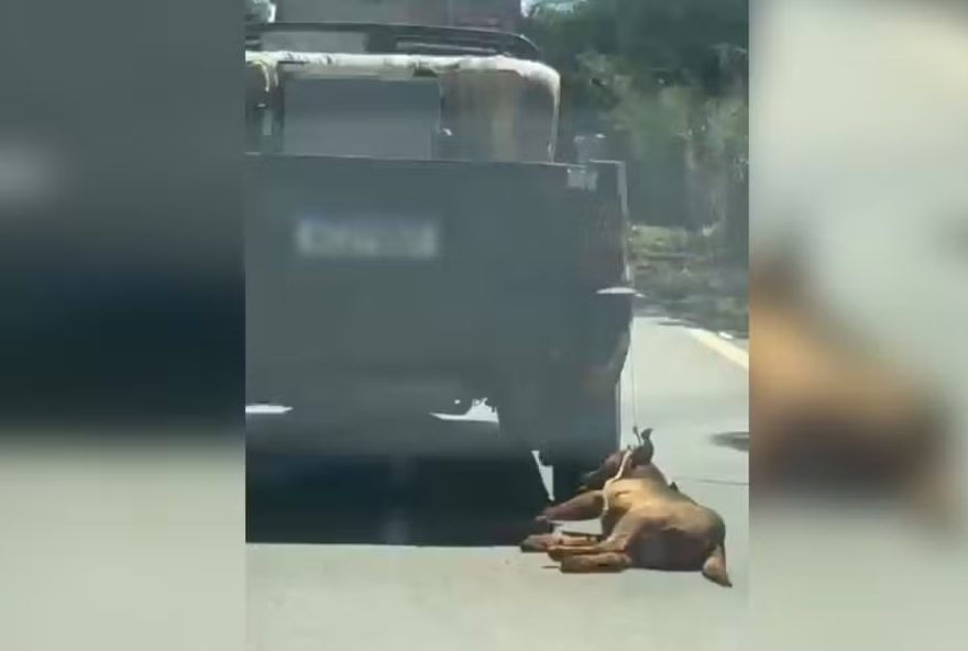 Homem é flagrado arrastando cachorro preso em carro na GO-156, em Itapuranga. (Foto: Reprodução/PMGO)