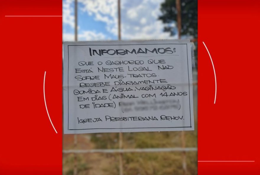 cachorro-resgatado-em-lote-da-igreja-no-df3B-dois-presos-por-maus-tratos