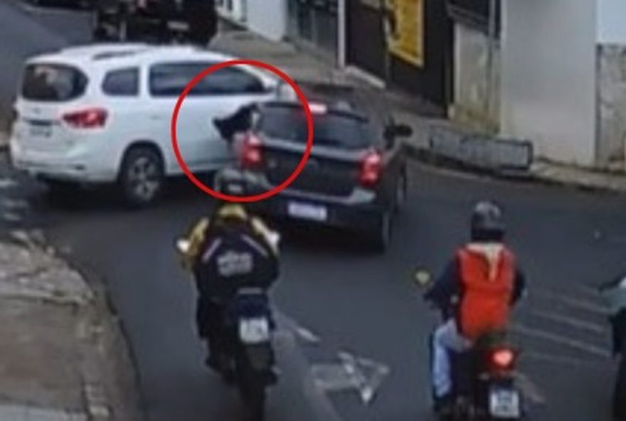 cachorro-voa-do-carro-apos-batida-e-tutora-fica-desesperada-em-mg3A-a-importancia-do-transporte-seguro-de-animais