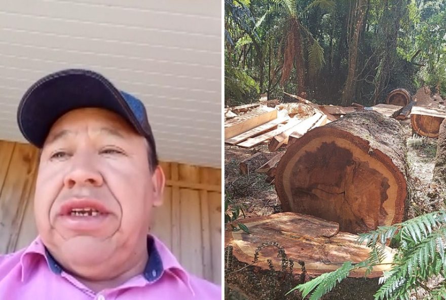 cacique-liderou-desmatamento-ilegal-em-terra-indigena-no-parana3A-justica-aceita-denuncia-do-mpf