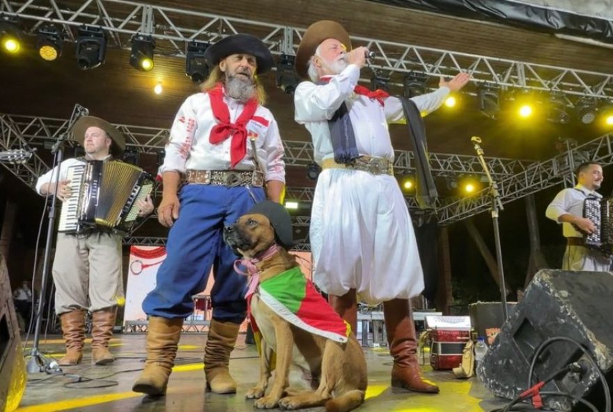 cadela-catarina3A-a-mascote-tradicionalista-de-mano-lima-no-rodeio-de-vacaria cadela-catarina3A-a-mascote-tradicionalista-de-mano-lima-no-rodeio-de-vacaria