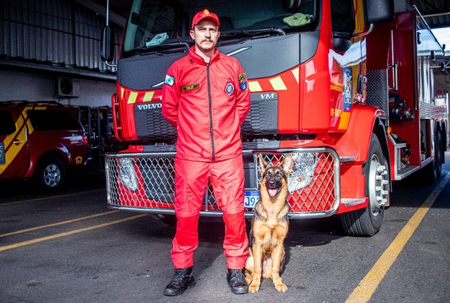 cadela-de-busca-e-salvamento-frida-sera-reforco-para-bombeiros-no-oeste-e-sudoeste-do-pr