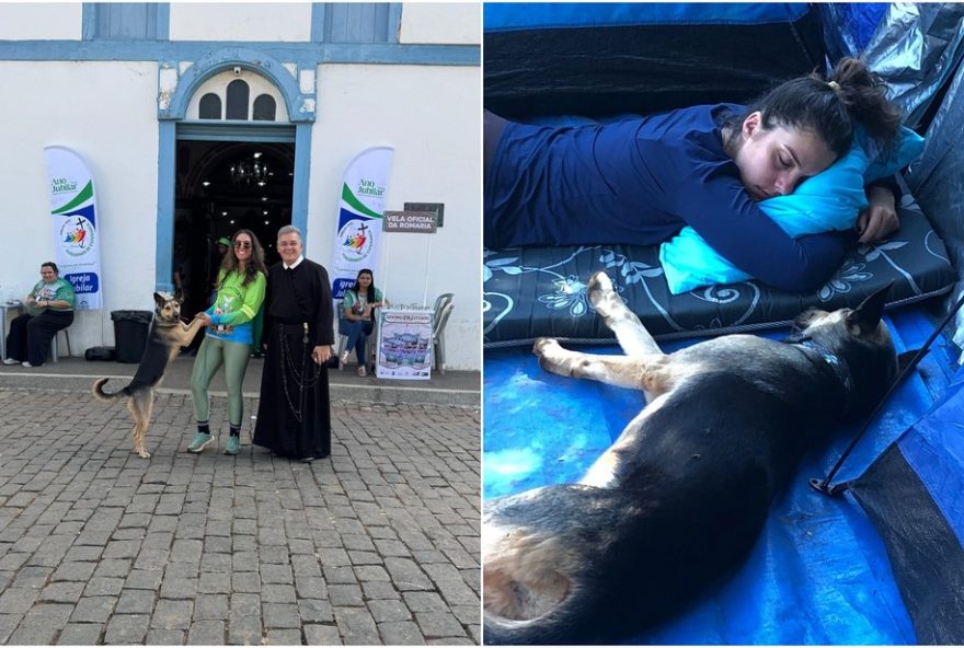 cadela-e-adotada-apos-seguir-romeira-por-150-km-ate-a-capital-da-fe3B-video