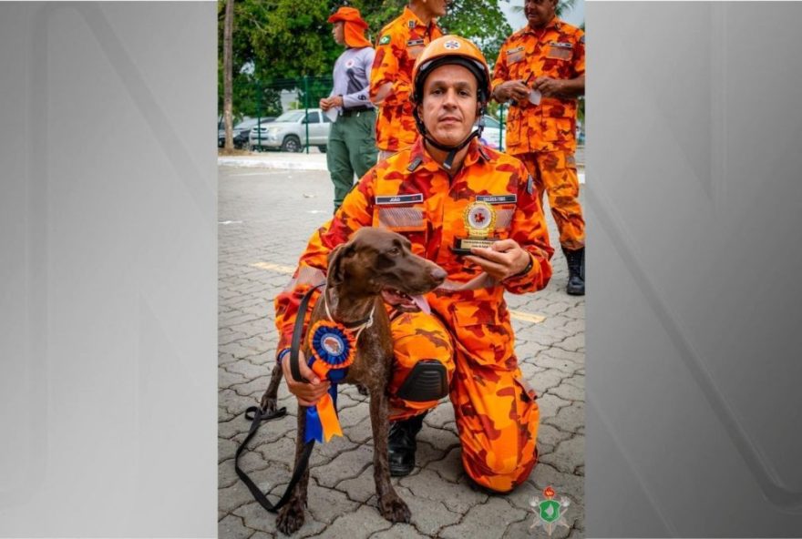 cadela-lara-do-corpo-de-bombeiros-falece-em-missao-de-busca3A-uma-homenagem-ao-seu-legado-de-bravura cadela-lara-do-corpo-de-bombeiros-falece-em-missao-de-busca3A-uma-homenagem-ao-seu-legado-de-bravura