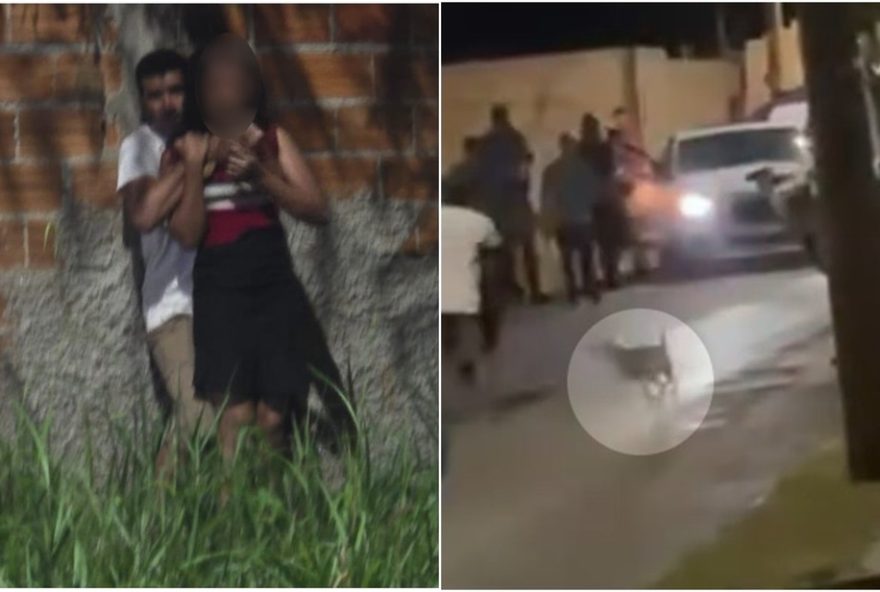 cadela-salva-jovem-refem-apos-ataque-de-criminoso-em-senador-canedo3B-video