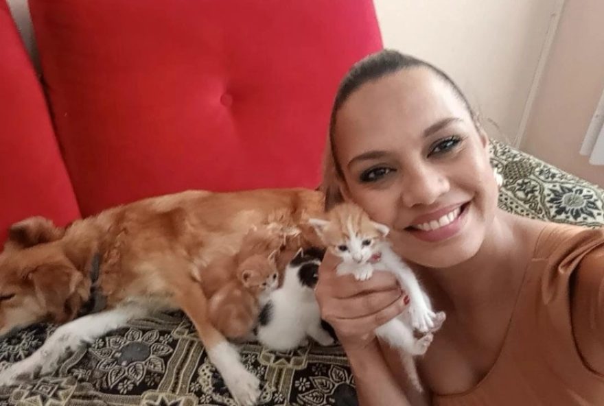 cadela-tem-gravidez-psicologica-e-amamenta-gatinhos-apos-gata-dar-a-luz