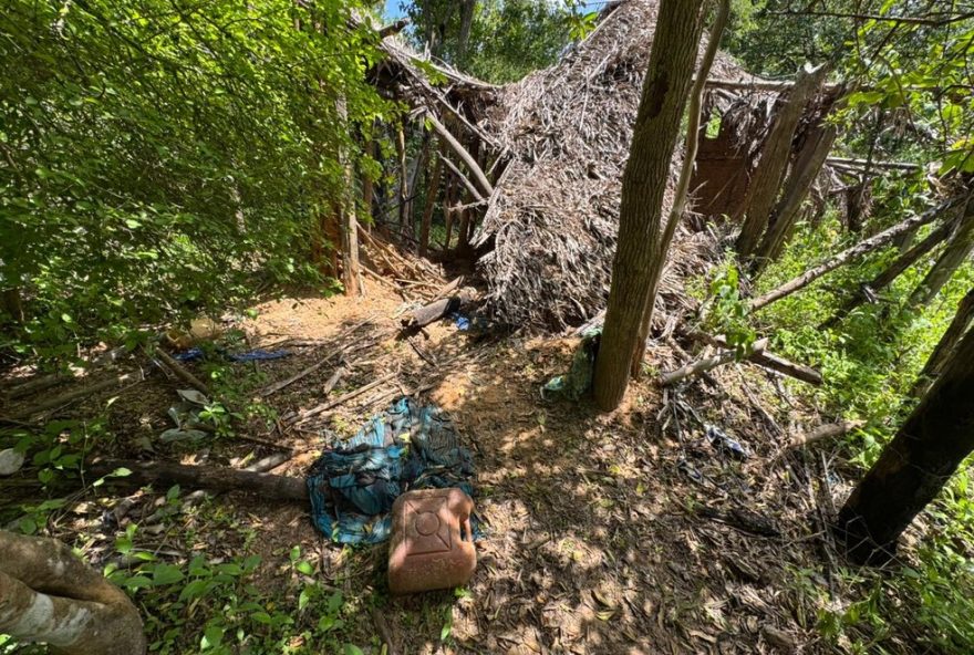 caes-farejadores-indicam-local-de-criancas-desaparecidas-em-bacabal3A-equipes-intensificam-buscas-no-maranhao caes-farejadores-indicam-local-de-criancas-desaparecidas-em-bacabal3A-equipes-intensificam-buscas-no-maranhao