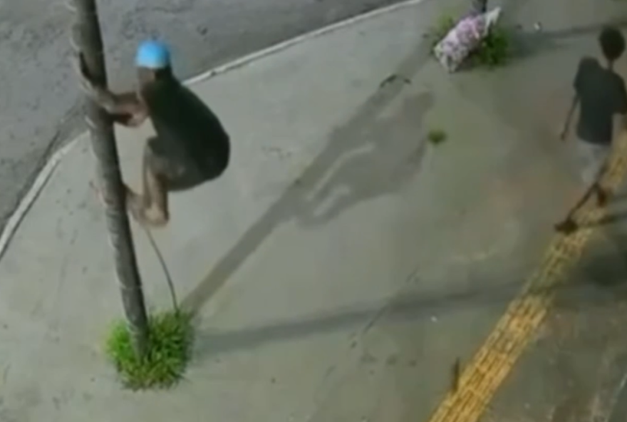 cameras-flagram-homens-furtando-fios-de-iluminacao-de-restaurante-em-goiania3B-assista-ao-video cameras-flagram-homens-furtando-fios-de-iluminacao-de-restaurante-em-goiania3B-assista-ao-video