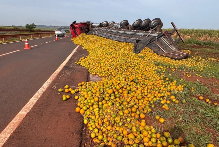 caminhao-tomba-e-espalha-carga-de-laranjas-em-rodovia-de-sp3A-veja-detalhes-e-desdobramentos-em-miguelopolis