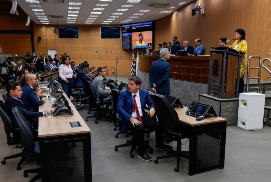 campinas-aprova-reserva-de-vagas-para-negros-e-indigenas-em-concursos campinas-aprova-reserva-de-vagas-para-negros-e-indigenas-em-concursos