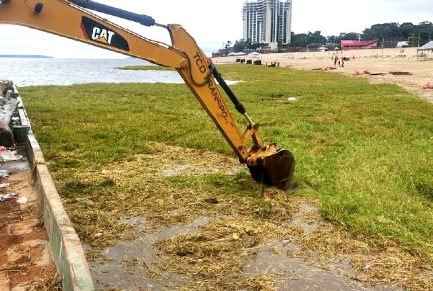 canaranas-invadem-orla-de-manaus-durante-periodo-de-seca3A-especialistas-alertam-para-riscos-ambientais-e-de-seguranca