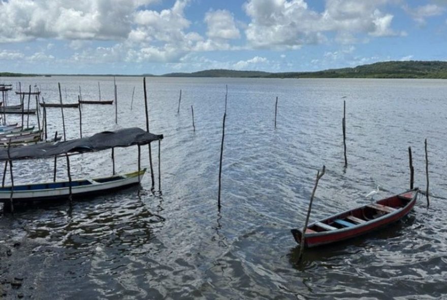 cancelamento-de-licencas-de-pesca3A-ministerio-da-pesca-suspende-cadastros-irregulares-no-maranhao-e-em-todo-o-pais cancelamento-de-licencas-de-pesca3A-ministerio-da-pesca-suspende-cadastros-irregulares-no-maranhao-e-em-todo-o-pais