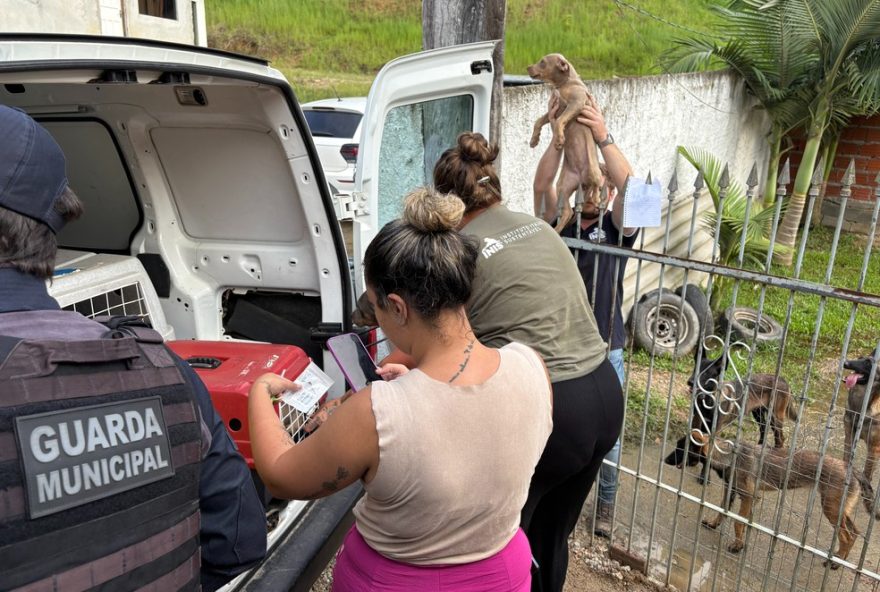 canil-clandestino-com-mais-de-50-caes-resgatados-e-fechado-em-itajai2C-santa-catarina3A-saiba-mais-sobre-o-resgate-e-os-cuidados-necessarios