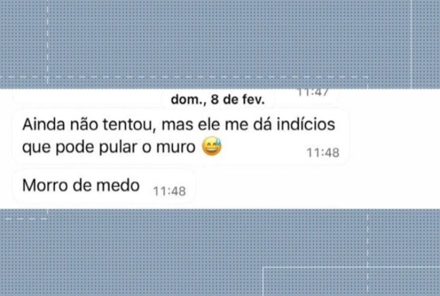 cao-border-collie-foge-de-hotel-em-campo-magro-saiba-mais cao-border-collie-foge-de-hotel-em-campo-magro-saiba-mais