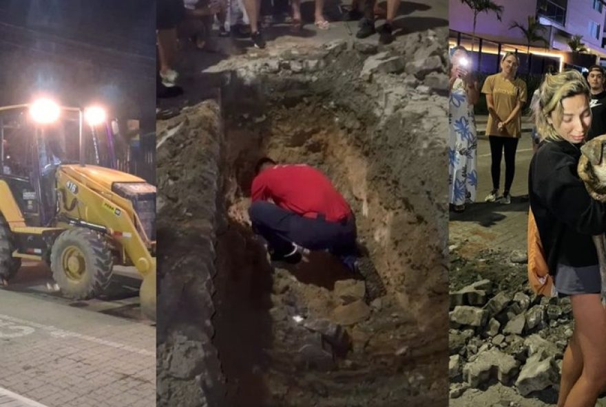 cao-cego-resgatado-de-tubulacao-em-sc-apos-grande-operacao cao-cego-resgatado-de-tubulacao-em-sc-apos-grande-operacao