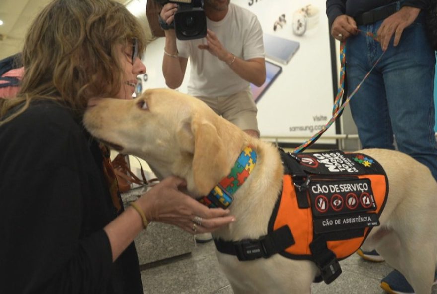 cao-de-assistencia-teddy-finalmente-chega-a-portugal-para-encontrar-menina-autista-de-12-anos