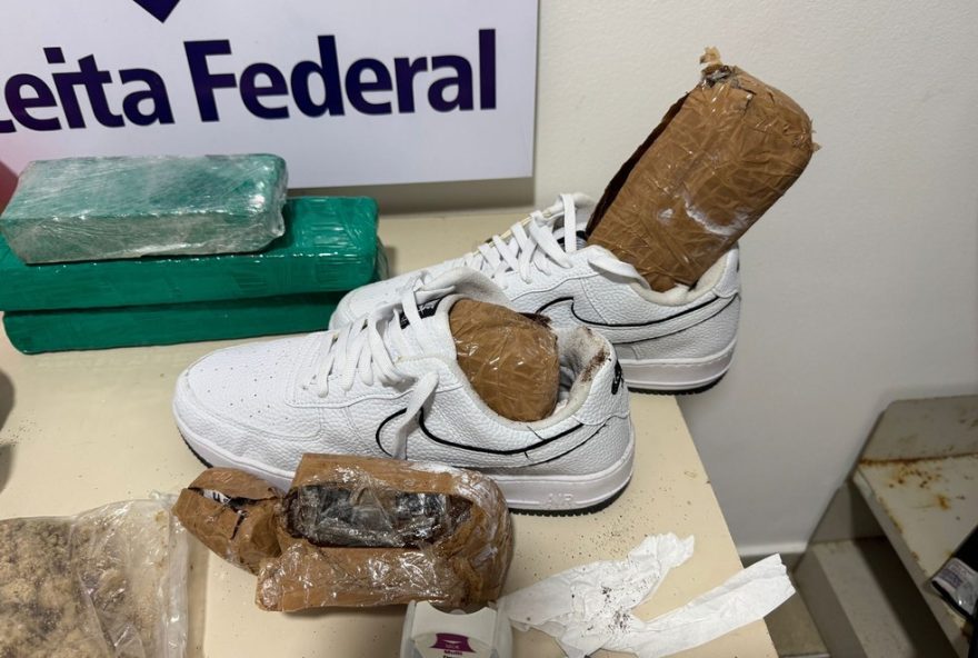 cao-farejador-da-receita-federal-detecta-drogas-em-encomendas-dos-correios3A-cocaina-e-skunk-avaliados-em-r24-447-mil3B-assista-ao-video