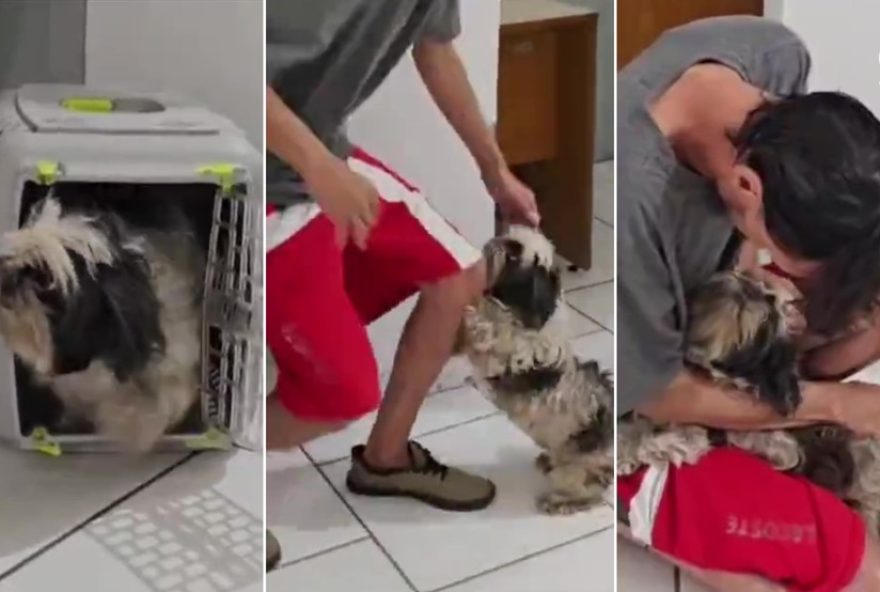 cao-reconhece-tutor-na-delegacia-apos-dois-meses3A-reencontro-emocionante-video cao-reconhece-tutor-na-delegacia-apos-dois-meses3A-reencontro-emocionante-video