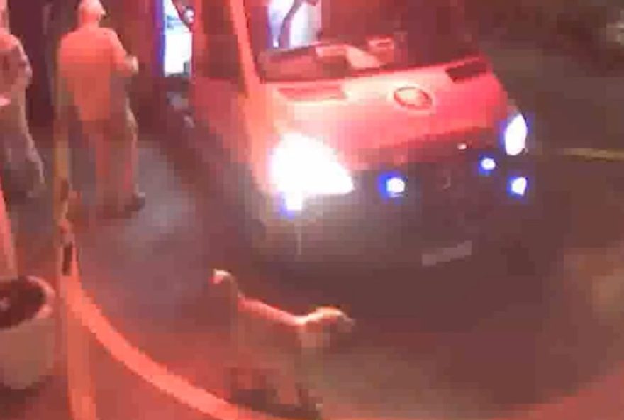 caozinho-se-recusa-a-abandonar-tutor-ferido-e-ganha-22carona22-do-siate-em-londrina2C-pr caozinho-se-recusa-a-abandonar-tutor-ferido-e-ganha-22carona22-do-siate-em-londrina2C-pr