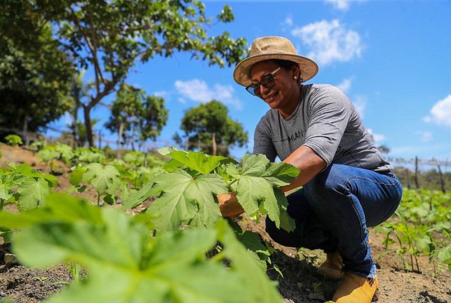 capacitacao-em-agricultura-familiar-em-iranduba-e-rio-preto-da-eva3A-inscricoes-abertas capacitacao-em-agricultura-familiar-em-iranduba-e-rio-preto-da-eva3A-inscricoes-abertas