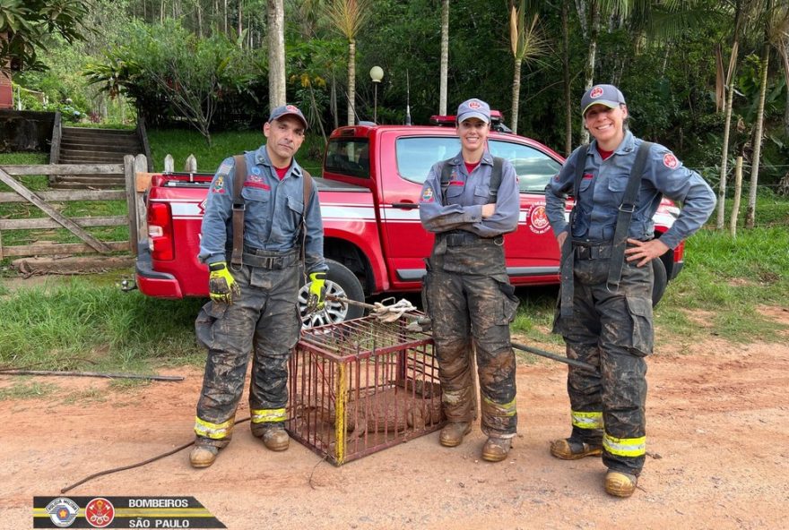 captura-de-jacare-em-monteiro-lobato3A-acao-dos-bombeiros-e-medidas-de-seguranca