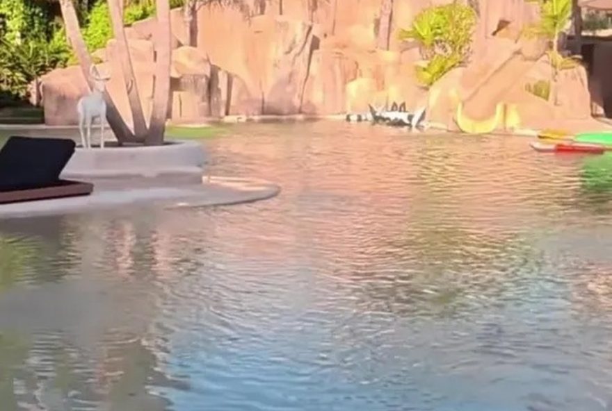 carlos-tevez-mostra-sua-luxuosa-mansao-com-piscina-gigante-e-toto-da-bombonera