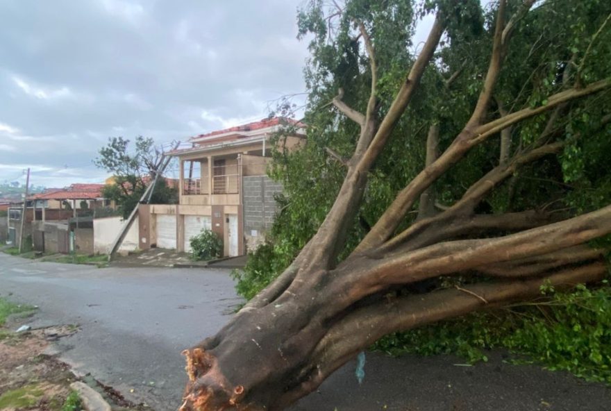 carmo-da-mata-decreta-situacao-de-emergencia-apos-tempestade3A-como-ajudar-as-familias-afetadas