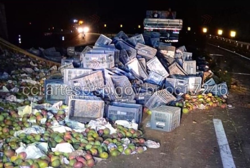 carreta-tomba-e-espalha-28-toneladas-de-manga-na-sp-333-em-marilia-sp carreta-tomba-e-espalha-28-toneladas-de-manga-na-sp-333-em-marilia-sp