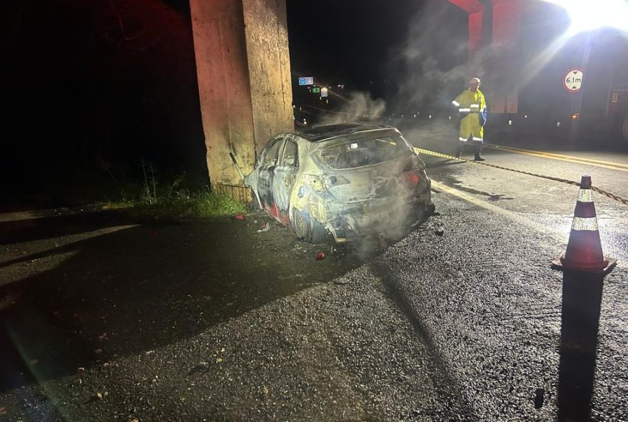 carro-bate-em-viaduto-e-motorista-morre-carbonizado-na-br-277