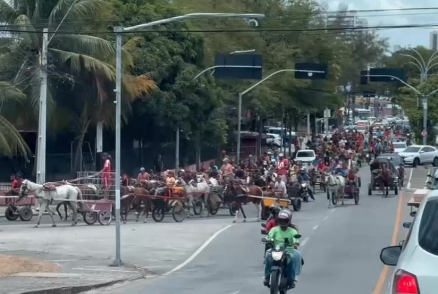 carroceiros-protestam-contra-retirada-de-veiculos-de-tracao-animal-no-recife3A-entenda-a-polemica carroceiros-protestam-contra-retirada-de-veiculos-de-tracao-animal-no-recife3A-entenda-a-polemica