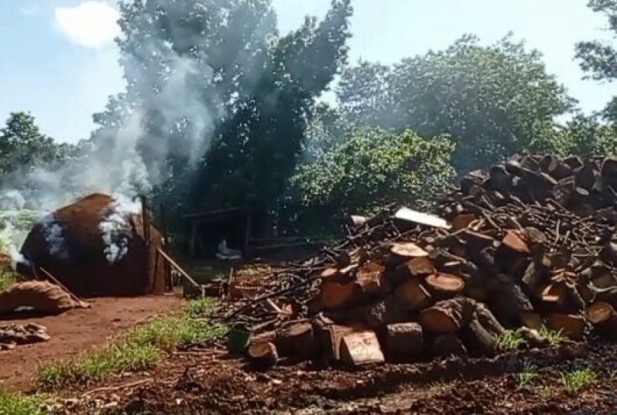 Homem é preso em Itumbiara suspeito de manter uma carvoaria clandestina( foto: reprodução Polícia Civil)