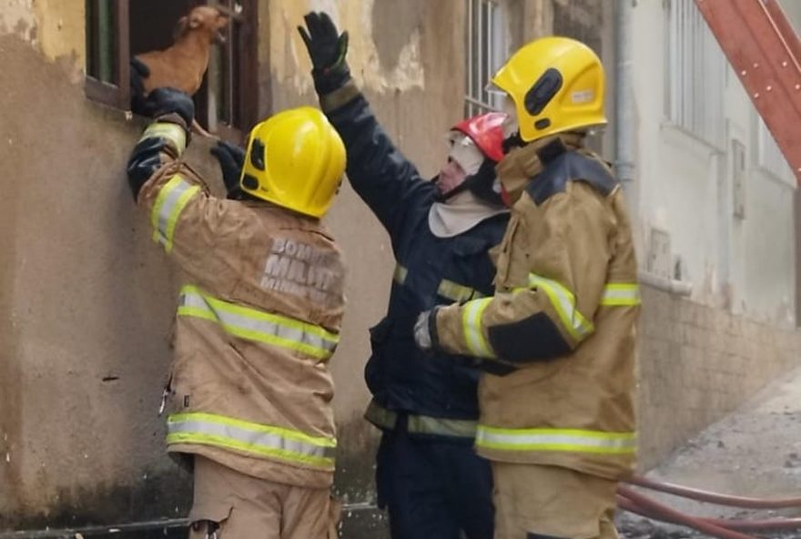 casa-em-chamas3A-bombeiros-salvam-animais-no-bairro-alto-dos-passos2C-juiz-de-fora