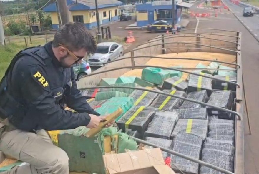 casal-com-crianca-e-preso-no-pr-durante-apreensao-historica-de-maconha casal-com-crianca-e-preso-no-pr-durante-apreensao-historica-de-maconha