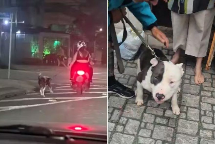 casal-conduz-cachorro-preso-a-coleira-em-moto3A-policia-identifica-e-investiga3B-video casal-conduz-cachorro-preso-a-coleira-em-moto3A-policia-identifica-e-investiga3B-video