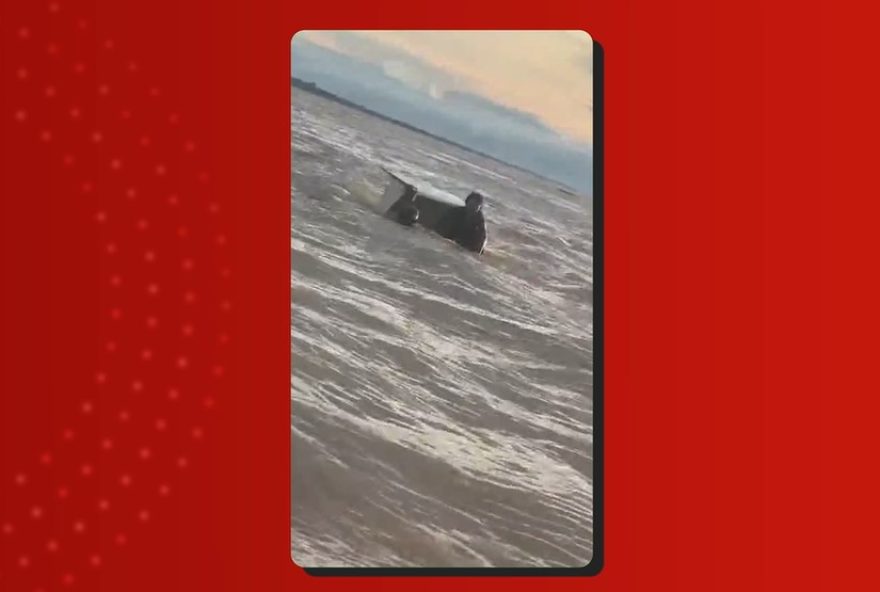 casal-de-pescadores-e-resgatado-apos-sobreviver-a-deriva-no-rio-solimoes casal-de-pescadores-e-resgatado-apos-sobreviver-a-deriva-no-rio-solimoes