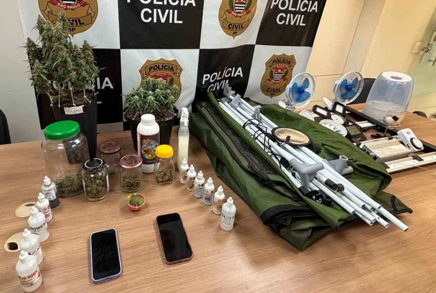 casal-e-preso-com-estufa-industrial-para-cultivo-de-maconha-em-piracicaba3A-operacao-policial-resulta-em-apreensao-de-drogas
