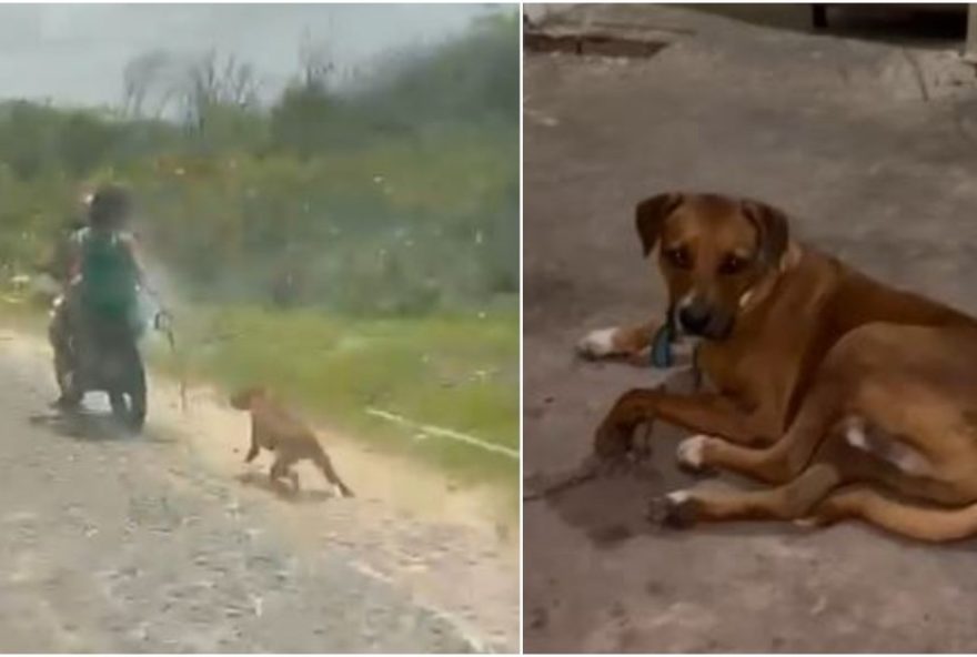 casal-e-preso-por-arrastar-cao-amarrado-a-moto-no-ceara3B-resgate-emociona-e-e-feito-por-associacao casal-e-preso-por-arrastar-cao-amarrado-a-moto-no-ceara3B-resgate-emociona-e-e-feito-por-associacao