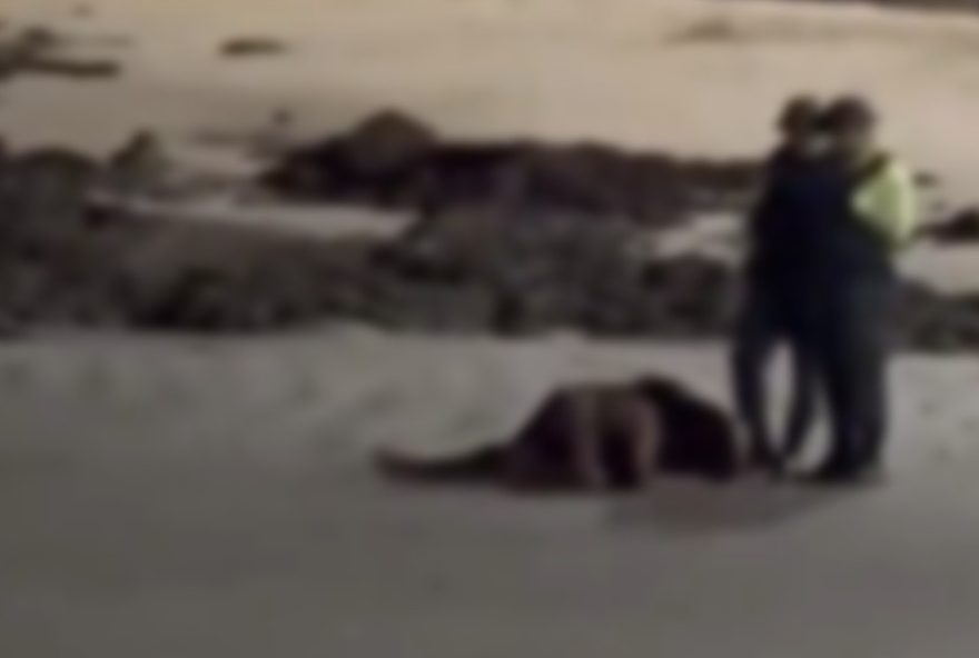 casal-flagrado-fazendo-sexo-na-beira-mar-de-fortaleza3B-policiais-interrompem-o-ato