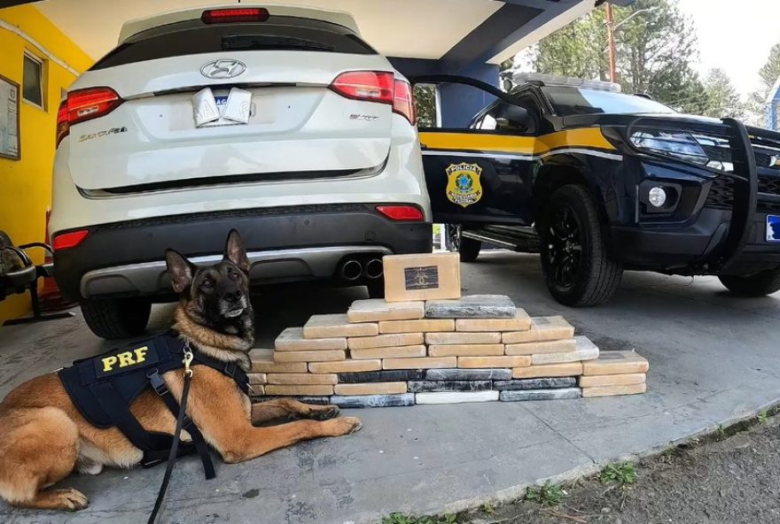 casal-paraguaio-e-flagrado-com-55kg-de-cocaina-em-carro-no-parana3A-detidos-pela-prf