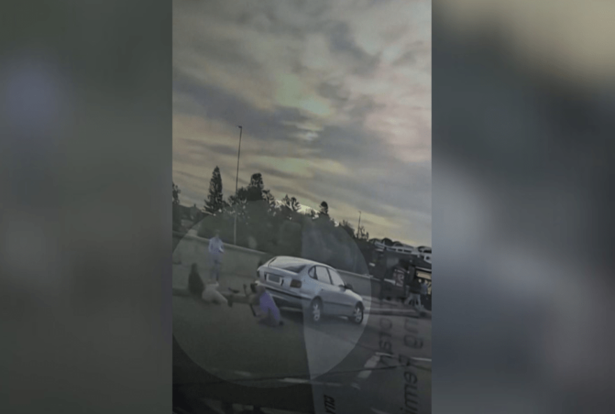 casal-russo-judeu-tenta-desarmar-suspeito-de-ataque-na-australia-em-video-divulgado casal-russo-judeu-tenta-desarmar-suspeito-de-ataque-na-australia-em-video-divulgado