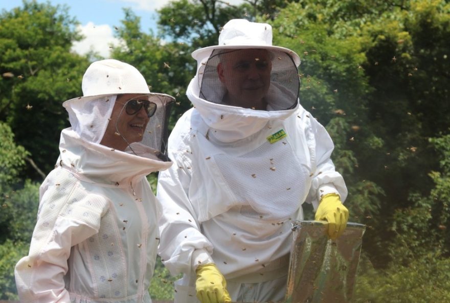 casal-transforma-antigos-pastos-em-refugio-para-abelhas-nativas3A-um-exemplo-inspirador-de-preservacao-ambiental