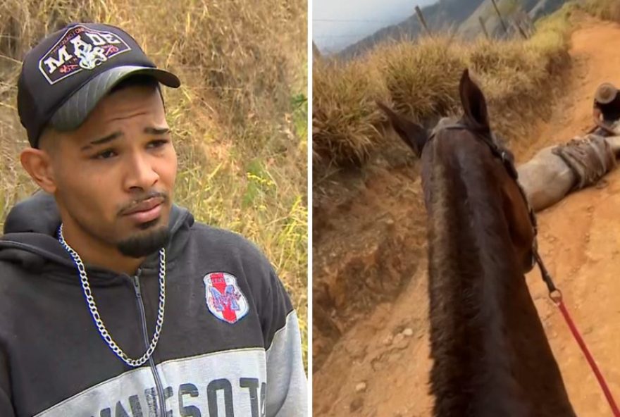 caso-em-bananal3A-laudo-aponta-que-cavalo-foi-levado-a-exaustao-antes-de-ser-mutilado