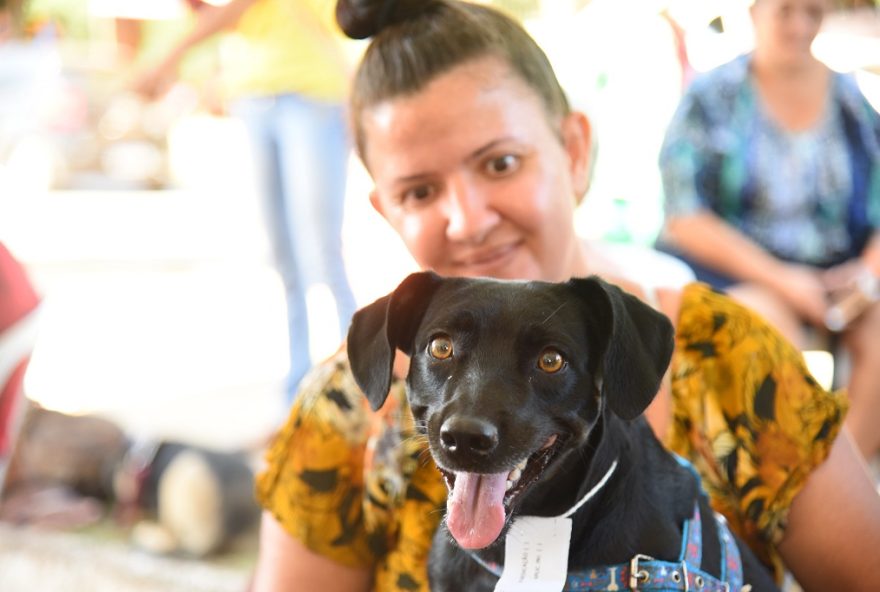 A castração gratuita de pets realizada pela Prefeitura de Aparecida já conseguiu evitar o nascimento indesejado de 16 mil cães 
(Foto: Jhonney Macena)