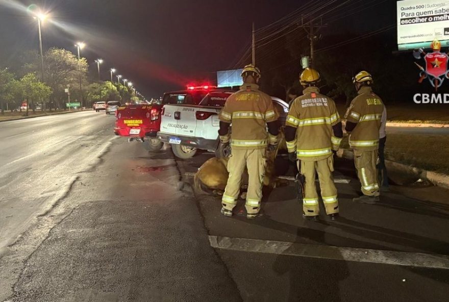 cavalo-e-sacrificado-apos-ser-atropelado-na-epia2C-no-df3A-resgate-e-eutanasia-do-equino-envolvem-bombeiros-e-veterinarios.-confira-mais-detalhes-no-df