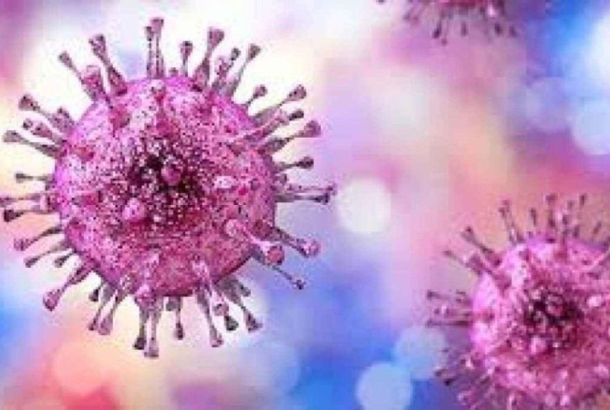 cerca-de-846-milhoes-de-pessoas-tem-o-virus-da-herpes-simples