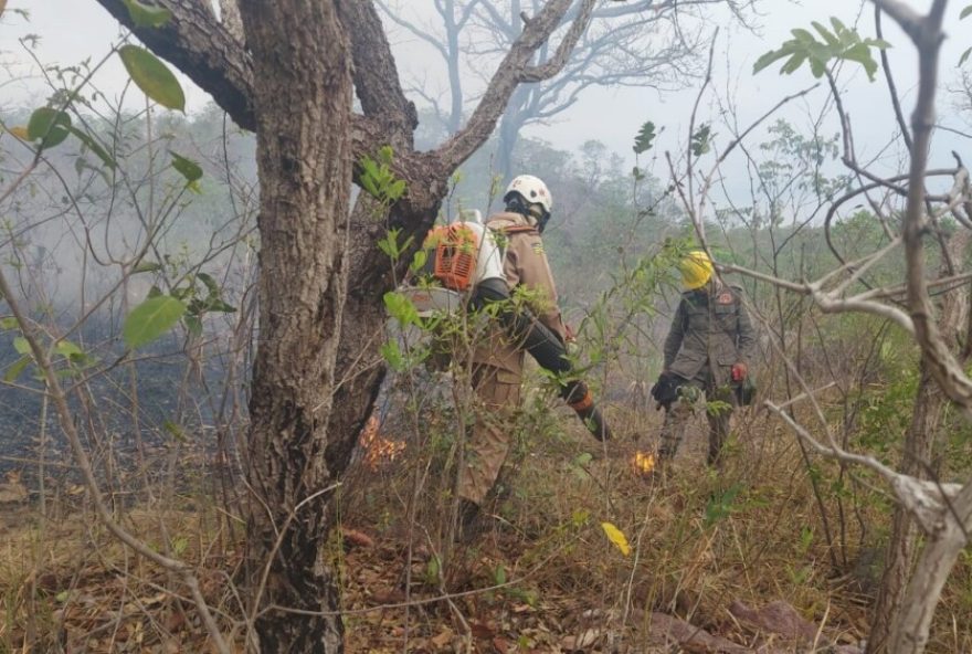 Incêndio de grande proporção consumiu aproximadamente 57% da reserva 
(Foto:Divulgação/
CBMGO)