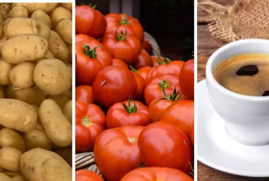cesta-basica-em-campinas-tem-4o-recuo-consecutivo2C-com-preco-medio-de-r24-7902C15-em-agosto3A-batata-em-queda-e-cafe-estavel